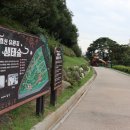황령산유원지 생태숲 이미지