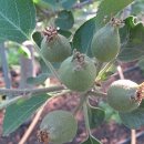 지남농장 이미지