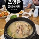 조영란동래삼계탕