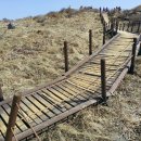 솔솔바람 이미지