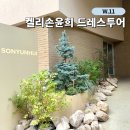 서울 드레스투어 후기 | 켈리손윤희 당일계약 혜택 공유 (계약 O)