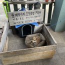 제주아이렌트카