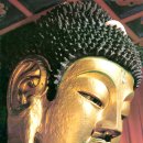 보림사 - 1223 | 보림사
