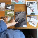 조이톡2, 허비쉬 홈웨어 후기, 뉴코코맘 수플레 트롤리 공구, 동기모임, 서울형 가사서비스 추가모집)