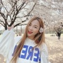 점핑 다이어트 - 안산시 상록구 사동 | 점핑 다이어트