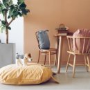 펫웨이브 동물의료센터 이미지