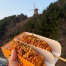 커피모비딕 | 울산 근교 가볼만한곳｜거제도 바다 여행 + 기장 용궁사 + 아난티 모비딕마켓 다녀온 후기