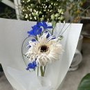 포피플라워 | [대구 황금동 꽃집] 한송이 다발도 예쁘게, 포피플라워