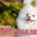 북구장애인종합복지관 이미지