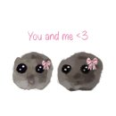 정항우케익카페우정혁신점 | Gangneung with my bestie !♥︎