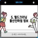 월드크리닝울산진하점