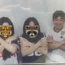 지노애드