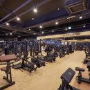 렉스휘트니스 이미지