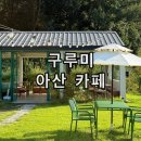 탕정면 삼성로 | 아산 대형 애견동반 카페 케이크 맛집 구루미 후기 밤바밤 밤크림케이크 , 초코나무숲 말차초코라떼 후기