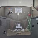 샤워하개 이미지