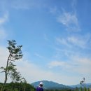 온그린골프아카데미 이미지