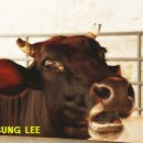 이준성