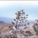 스타펠리스앞 이미지