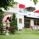 위드모데스티 | [대구 지산동 카페]아늑한 분위기 크로플맛집 위드모데스티