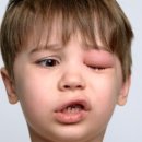 매화시장 이미지