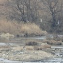 승덕농장 | 영암 요월당(邀月堂) 쌍취정(雙醉亭)-1