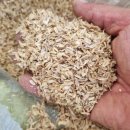 안정왕겨 이미지