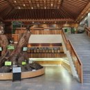 국립수목원 산림박물관 이미지