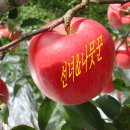 참살이농원 이미지