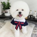 Dog.(독점) 네이버블로그