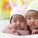 (주)보연 이미지