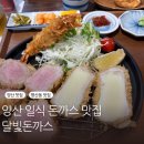 구성파출소 | 양산 트레이더스 근처 맛집 덕계 3대 돈까스 달빛돈까스 만족 후기