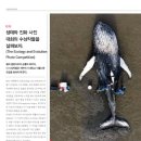 주식회사 유니콘웨일 이미지