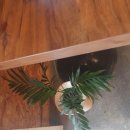 창고구공 이미지