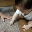 로아홀릭
