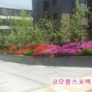 미남스포렉스 이미지