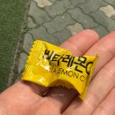 킷사온젠 | 서울대입구 맛집, 치즈메이트 : 옥수수 뇨끼, 파스타 샤로수길 맛집