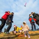 날이 좋아서, 이번 주말 당장 갈 수 있는 축제 BEST 5 이미지