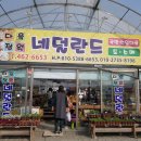 다육정원네덜란드