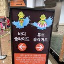 홍천 오션월드 식당 미들시즌과 하이시즌 차이점 전기...종류 노천탕 유수풀 파도풀 내돈내산 후기