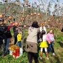 드림빌사과테마공원마을 이미지