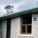 풀잎다방 | 제주 애월 카페 <소길다방> 추천 후기 / 고양이가 있는 카페 😺