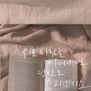시사공인중개사사무소 이미지