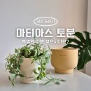 이천 도자기 마을 마티아스 토분 매장 방문기 내돈내산 구매후기