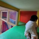 노리파크 용두점 이미지