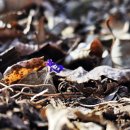 제장농장 이미지