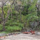 옹달샘약국 이미지