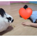 요미요미울산남목교육원