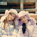 신세계백화점블랙야크키즈 이미지