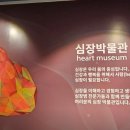 심장박물관 | 인천 심장 박물관(방학에 가기 좋은)