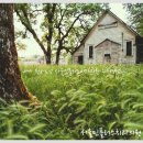 다움치과의원 이미지